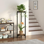Plant Stand Indoor Corner Tall 2 Tier Metal Modern Flower Storage Plant Shelf Holder for Living Room Balcony Garden,Black (2 Tier-Black Round)