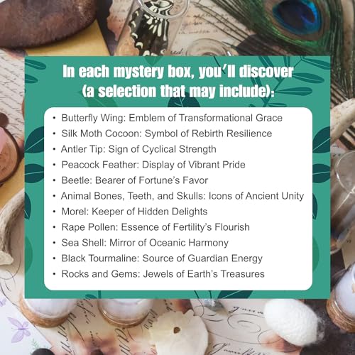 10Pcs Mystery Natural Oddities Collection Box - Real Fossils, Crystals & Taxidermy in Glass Vials | Dark Academia Decor for Adults & Kids | Witchy Curio Cabinet Decor | Unique Gifts for Science Lovers - style: 10PCS
