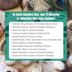 6Pcs Mystery Natural Oddities Collection Box - Real Fossils, Crystals & Taxidermy in Glass Vials | Dark Academia Decor for Adults & Kids | Witchy Curio Cabinet Decor | Unique Gifts for Science Lovers - style: 6Pcs