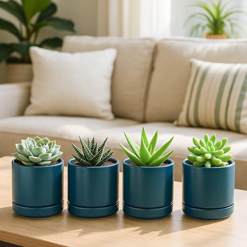 D'vine Dev Set of 4 Small Ceramic Plant Pots, 4.7 Inch Succulent Planter Pot for Plants with Drainage Hole and Saucer, Teal, 94-X-B-9 - color: Teal, size: 4.7 Inch