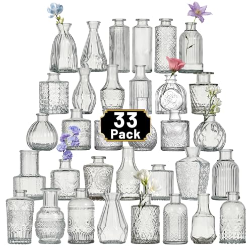 Glass Bud Vase Set of 33 Pcs Small Minimalist Vases for Flowers, Vintage Rustic Home Decor for Table Centerpiece Wedding Party, Modern Clear Aromatherapy Bottle for Living Room Bedroom