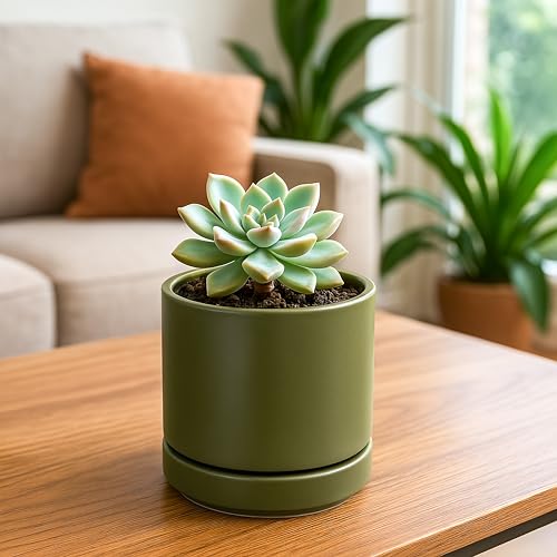 D'vine Dev Set of 4 Small Ceramic Plant Pots, 4.7 Inch Succulent Planter Pot for Plants with Drainage Hole and Saucer, Olive, 94-X-B-0 - color: Olive, size: 4.7 Inch