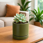 D'vine Dev Set of 4 Small Ceramic Plant Pots, 4.7 Inch Succulent Planter Pot for Plants with Drainage Hole and Saucer, Olive, 94-X-B-0 - color: Olive, size: 4.7 Inch