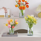 36pcs Glass Vase Cylinder for Centerpieces Small Flower Glass Clear Home Decor Centerpiece Table Flower Vase Decorations for Wedding＆Holiday 4,4.7,6Inch Tall - size: 36Pack-4+4.7+6Inches