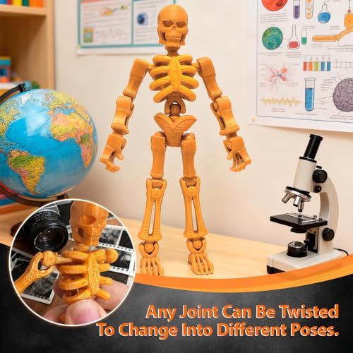 3D Printed Figurines Art Sculpture Toy Office Desk Shelf Decoration Colorful Abstract Sculpture Pieces Creative Display Decor - color: Skeleton, size: F