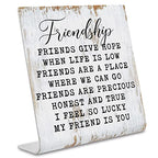 Friendship Signs for Women Friends, Friend Birthday Gift Ideas Office Gifts for Friends Sisters Coworkers Decorations On Shelf Table Desk for Living Room Bedroom Home Office dksg11 - style: Friendship Gift