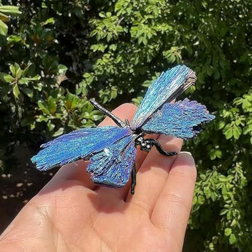 Dragonfly Statue Natural Electroplated Blue Tourmaline Dragonfly Decor Collection Natural Home Decor Healing Crystals Dragonfly Gift for Women 4.33" (Black-Legs, Small Size) - color: Black-legs, size: Small Size