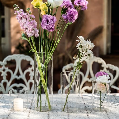 Devilfire 12Pcs Glass Cylinder vases for Centerpieces, 6 Inches Tall Flower Vases Wedding Decorations,Bulk Cylinder Flower& Plant Vases,Hurricane Candle Holder for Table Shelf, Party.