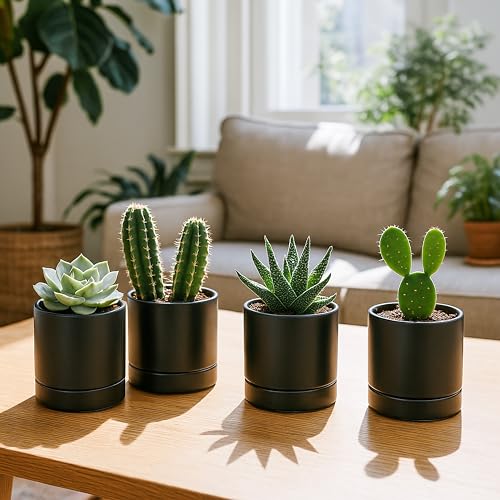 D'vine Dev Set of 4 Small Ceramic Plant Pots, 4.7 Inch Succulent Planter Pot for Plants with Drainage Hole and Saucer, Black, 94-X-B-2 - color: Black, size: 4.7 Inch