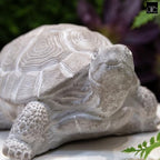 Modern Small Standing Turtle Figurine, Unique Cement Figurines, Handcrafted Decorative Washed Concrete Finish White Sculpture for Home, Garden,Office: 12.50"x9.00"x5.75"H - size: 12.50"x9.00"x5.75"H