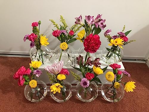 Clear Glass Bud Vase Cute Flower Vase for Short Plant Mother's Day Wedding Centerpiece Home Decoration Floral Arrangements Holder (3.15")