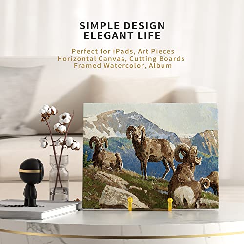 IPAME 6 Inch Metal Square Wire Plate Stands for Display - Gold 2 Pack Holder Stand + Picture Frame Easel for Book, Decorative Plaque, Photo, Platter - size: 6 Inch
