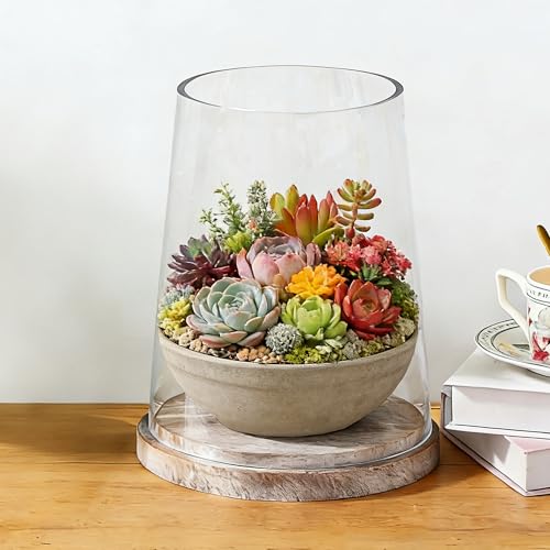8" Wide Glass Hurricane Candle Holders with Handmade Sturdy Glass Sleeves and Distressed Brown Wood Base for Pillar Candle & Plants, Industrial, Farmhouse, Display Cloche Bell Jars, Table Centerpiece - color: Rustic Brown, size: 8.5"x11"