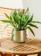 Serene Spaces Living Antique Brass Look Gold Hammered Pots: Stylish Indoor Planter, Decorative Accent for Potted Plants, Gold Flower Vase for Wedding, Extra Small, Set of 12 - size: Extra Small, Set of 12