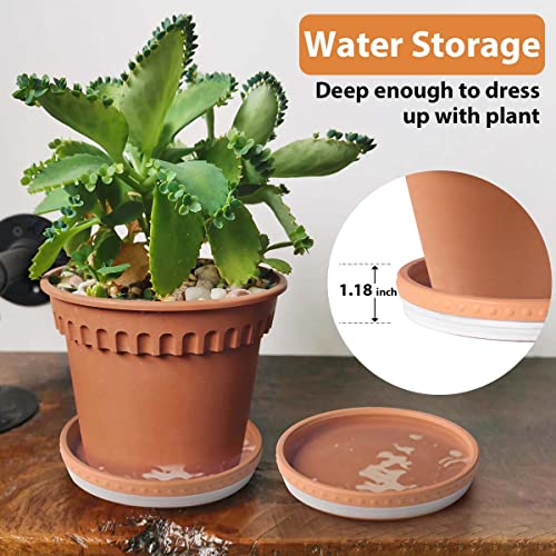 YBX 8-inch Plant Saucer Premium Terracotta Saucer Round Ceramic Plant Trays, Pack of 2 (White/Terracotta) - color: White/Terracotta