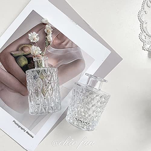 Mini Clear Glass Vase,Small Flower Bud Vase Hydroponics Planter Decorative for Flower,Table,Party,Home,Centerpieces(Clear 6) - color: Clear 6