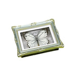 1Pcs Real Butterfly Framed Handmade, Taxidermy Butterfly Shadow Box Collection, Framed Butterfly Taxidermy for Oddities and Curiosities Gifts Tabletop Ornaments (M-Butterfly Specimen+Photo Frame) - color: M-butterfly Specimen+photo Frame