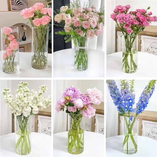 10 Pack Glass Cylinder Vases, 8 Inch Small Clear Cylinder Flower Vase Floating Candle Holders Glass Vases for Centerpiece Table Party Home Wedding