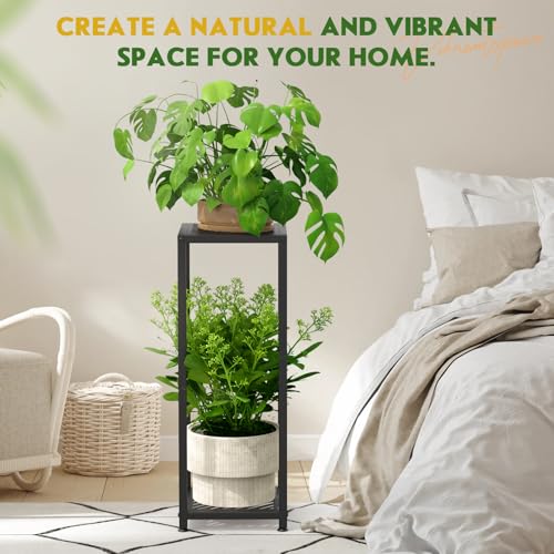 TOSKING Tall Plant Stand Indoor – 2-Tier Modern Metal Shelf, 30" Height & 200 LBS Capacity, Heavy Duty for Living Room, Balcony, Garden (Black) - size: 2-tier 30''