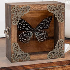 Real Framed Butterflies Shadow Boxes - Framed Butterfly Taxidermy Unique Metal Pushpin Fixation, Oddities and Curiosities Gifts Butterfly Decoration Box (Blue-Spotted Nymphalid (Nymphalidae)) - color: Blue-spotted Nymphalid (Nymphalidae)