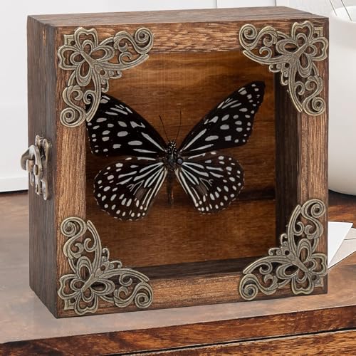 Real Framed Butterflies Shadow Boxes - Framed Butterfly Taxidermy Unique Metal Pushpin Fixation, Oddities and Curiosities Gifts Butterfly Decoration Box (Blue-Spotted Nymphalid (Nymphalidae)) - color: Blue-spotted Nymphalid (Nymphalidae)