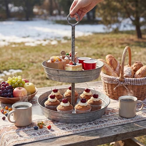 FLORA Farmhouse 2 Tiered Galvanized Serving Tray Stand with Carry Handle, Rustic Metal Display Tray for Cupcake Dessert Fruit, Silver - size: 13" x 13" x 16.5"
