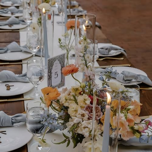 Hurricane Candle Holder Thickened Cylinder Covers Short Taper Candle Sticks Holder 2.5" D × 11" H Glass Tall Candlesticks Holders Centerpiece for Wedding Dining Table, 4 Pcs