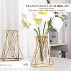 Roshtia 8 Set Gold Glass Vase for Centerpieces Metal Geometric Test Tube Vase Modern Hydroponic Flower Stand with Glass Cylinder for Flowers Plant Wedding Office Home Centerpiece (6.3 Inch)