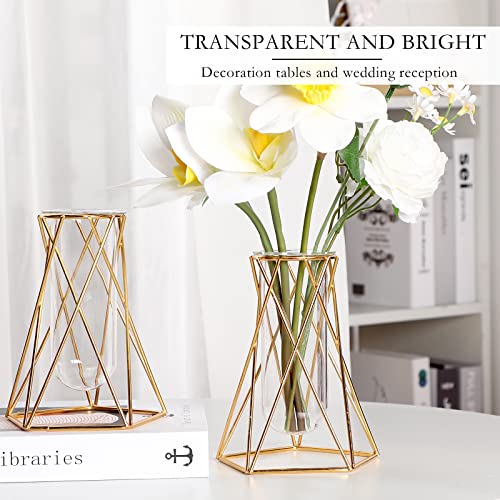 Roshtia 8 Set Gold Glass Vase for Centerpieces Metal Geometric Test Tube Vase Modern Hydroponic Flower Stand with Glass Cylinder for Flowers Plant Wedding Office Home Centerpiece (6.3 Inch)