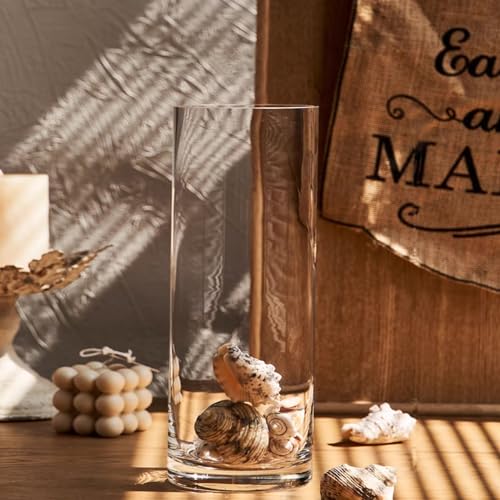 DARENYI Clear Glass Vase for Flowers, 12 inches Tall Cylinder Vase Decorative for Centerpiece, Living Room, Floating Candle, Office, Wedding or Gifts