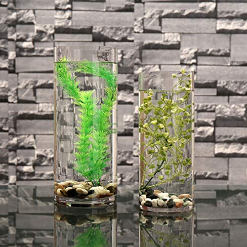 WGV Cylinder Vase, Width 7", Height 16", Clear Wide Large Diameter Flower Glassware, Floral Container, Planter Terrarium for Wedding Party Event, Home Accent Decor, 1 Piece - size: 7"x16"H