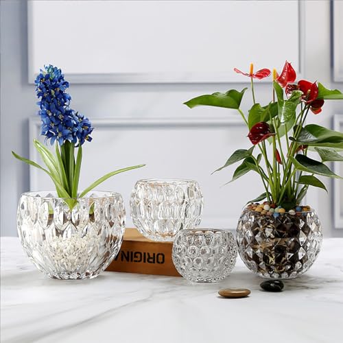 Glass Flowerpot, Planters,Vase, Hydroponic Flowerpot, Candy Bowl, Candlestick,Key Bowl,Decorative Bowls(B) - style: b