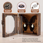 Taxidermy Butterfly Shadow Box Picture Frame - Real Butterfly Framed Meticulously Handcrafted, Framed Butterfly Taxidermy Gothic Room Decor Great White Spotted Butterfly (Family Papilionidae) - color: Great White Spotted Butterfly (Family Papilionidae)