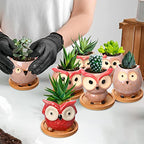 Cindeer 18 Pcs 2.5 Inch Owl Ceramic Succulent Planter Pots Mini Small Ceramic Pots with Drainage Hole and Bamboo Tray for Succulents Glaze Cactus for Home Garden Office Desk Decoration Gift Ideas - style: Owl