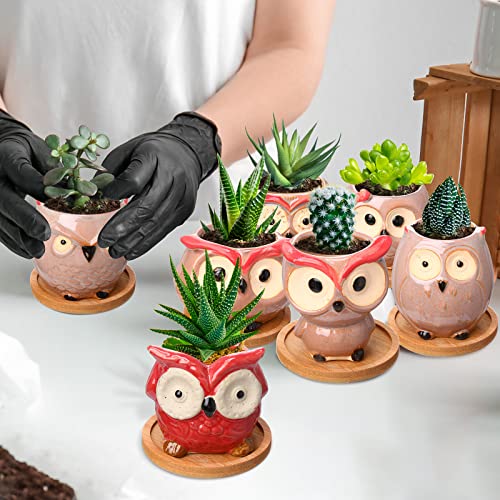 Cindeer 18 Pcs 2.5 Inch Owl Ceramic Succulent Planter Pots Mini Small Ceramic Pots with Drainage Hole and Bamboo Tray for Succulents Glaze Cactus for Home Garden Office Desk Decoration Gift Ideas - style: Owl
