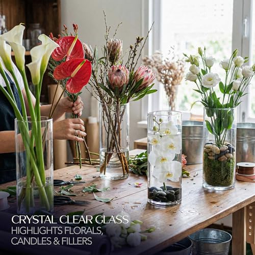 Glass Cylinder Flower Vase Centerpieces for Tables 6"x 12" Tall (11.1" Usable Depth) Set of 6- Glass Vase Candle Holders Wedding Decor Vases for Centerpieces, Home & Event Decorations - Royal Imports - size: 6" wide x 12" tall - Set of 6