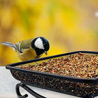 MIXXIDEA Ground Bird Feeder Tray, Metal Platform Mesh Seed Tray for Bird Feeders, Great Attracting Garden Yard Decoration for Wild Birds Squirrels Dove (1 Pack) - size: 7x7 inches (1 pack)