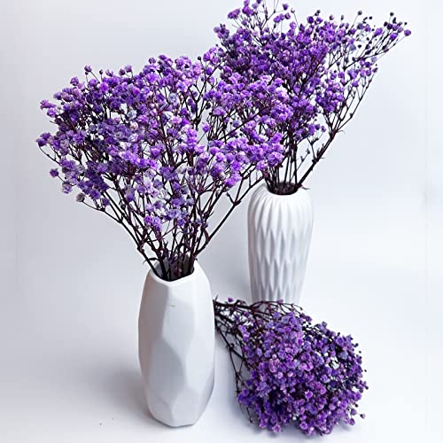 Preserved Baby's Breath 3 Bunches, 100% Natrual Fresh Gypsophila Long Lasting Flowers for Vase Arrangements Home Decoration Photo Props Parties and Weddings, DIY Décor-Light Purple - color: Light Purple