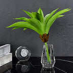 kitCom Flower Vase, Modern Mini Crystal Vase, Lead-Free Flower Vase, European Crafted for Table, Home Decoration, Wedding or Luxury Gifts, 2.4 x 2.4 x 4 Inches - size: 2.4×2.4×4 Inches