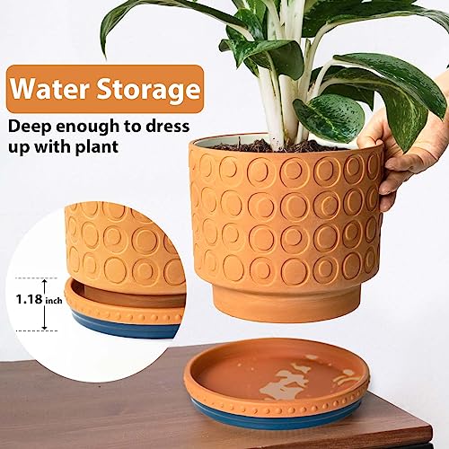 YBX 8-inch Plant Saucer Premium Terracotta Saucer Round Ceramic Plant Trays, Pack of 2 (Navy/Terracotta) - color: Navy/Terracotta