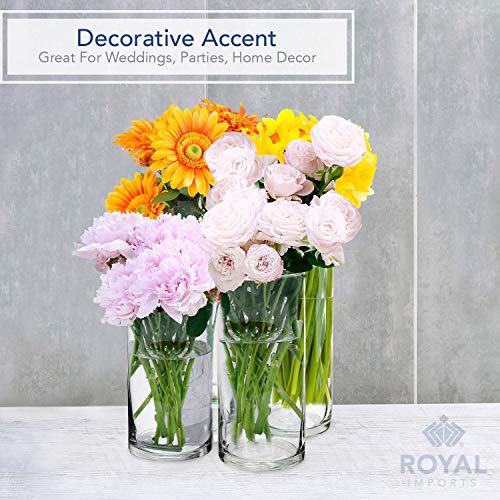 Royal Imports Glass Cylinder Vases for Centerpieces – Set of 4 Clear Hurricane Vases for Wedding, Table Decor, Floating, Flowers, Candle Holders, Extra Tall Clear Vase Set, 6” / 8” / 9” / 11”