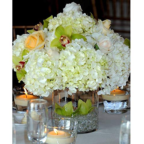 WGV Cylinder Glass Vase, Diameter 5", Height 5", Clear Glass Floral Planter Container, Floating Candle Holder for Wedding Party Event Home Office Decor, 1 Piece - size: 5"x5"H CL