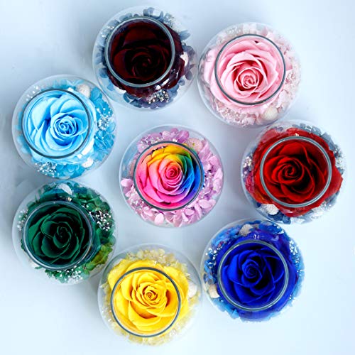 Preserved Real Roses with Colorful Mood Light Wishing Bottle,Eternal Rose，Never Withered Flowers, Christmas Anniversary Valentine's Mother's Day,a Gifts for Women 4.3inch 1pcs（Light Blue） - color: Light Blue