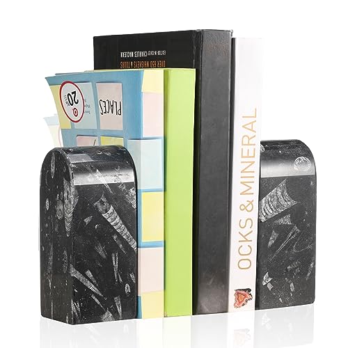 Koville Moroccan Natural Marble Bookends for Shelves, Decorative Book Ends, 7lbs Heavy-Duty Marble Book Holders, Bookshelf Apartment Decor for Normal Books/CD/Video Games(Black Fossil) - color: Black Marble-black Fossil, size: 7lb