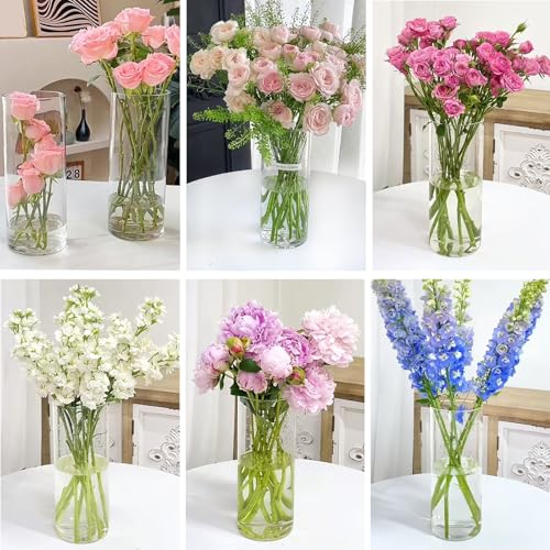 24 Pack 6 Inch Glass Vases, Clear Glass Vase Bulk Flower Cylinder Vases for Centerpieces Table Home Wedding Decorations (6"x3.4", 6"x2.6")
