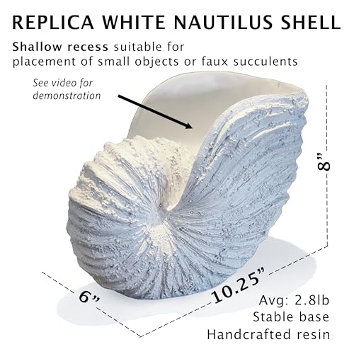 Nautilus Shell Sculpture - Replica Beach Themed Ocean Decor for Home - Rustic White Resin 10¼" x 6" x 8" Crafted Coastal Seashell Shelf Decor Gift-Boxed
