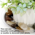 15 Pack Assorted Sizes 6 8 10 Inch Clear Thick Plastic Heavy Duty Sturdy Plant Saucer Drip Trays for pots, 5 Pieces of Each Size (Assorted Sizes 6'', 8'', 10'') - size: 6+8+10 INCH