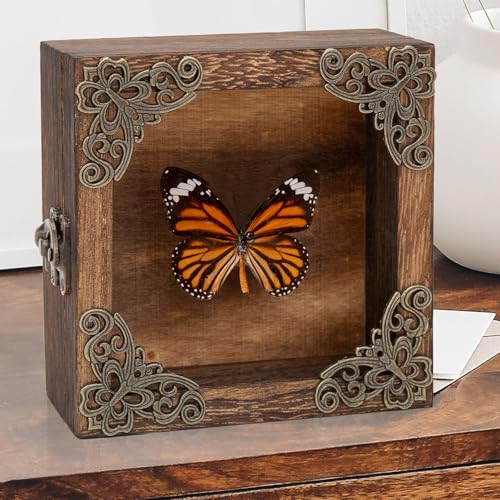 Real Framed Butterflies Shadow Boxes - Framed Butterfly Taxidermy Unique Metal Pushpin Fixation, Oddities and Curiosities Gifts Butterfly Decoration Box (Tabby Butterfly (Family Papilionidae)) - color: Tabby Butterfly (Family Papilionidae)
