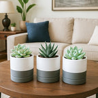 D'vine Dev Set of 4 Small Ceramic Plant Pots, 3.5 Inch Succulent Planter Pot for Plants with Drainage Hole and Saucer, White/Speckled Grey, 94-X-A-6 - color: White/Speckled Grey, size: 3.5 Inch