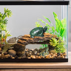 Jade Turtle Statue Natural Jade Gemstone Cute Animal Sculpture for Longevity and Luck 3 Inch - color: Green Jade Turtle-1